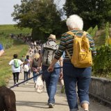 Pendant trois jours, 70 personnes de tous horizons réfléchiront ensemble à l’avenir du bien-vieillir dans le canton, dont les seniors eux-mêmes (photo prétexte). KEYSTONE/SALVATORE DI NOLFI